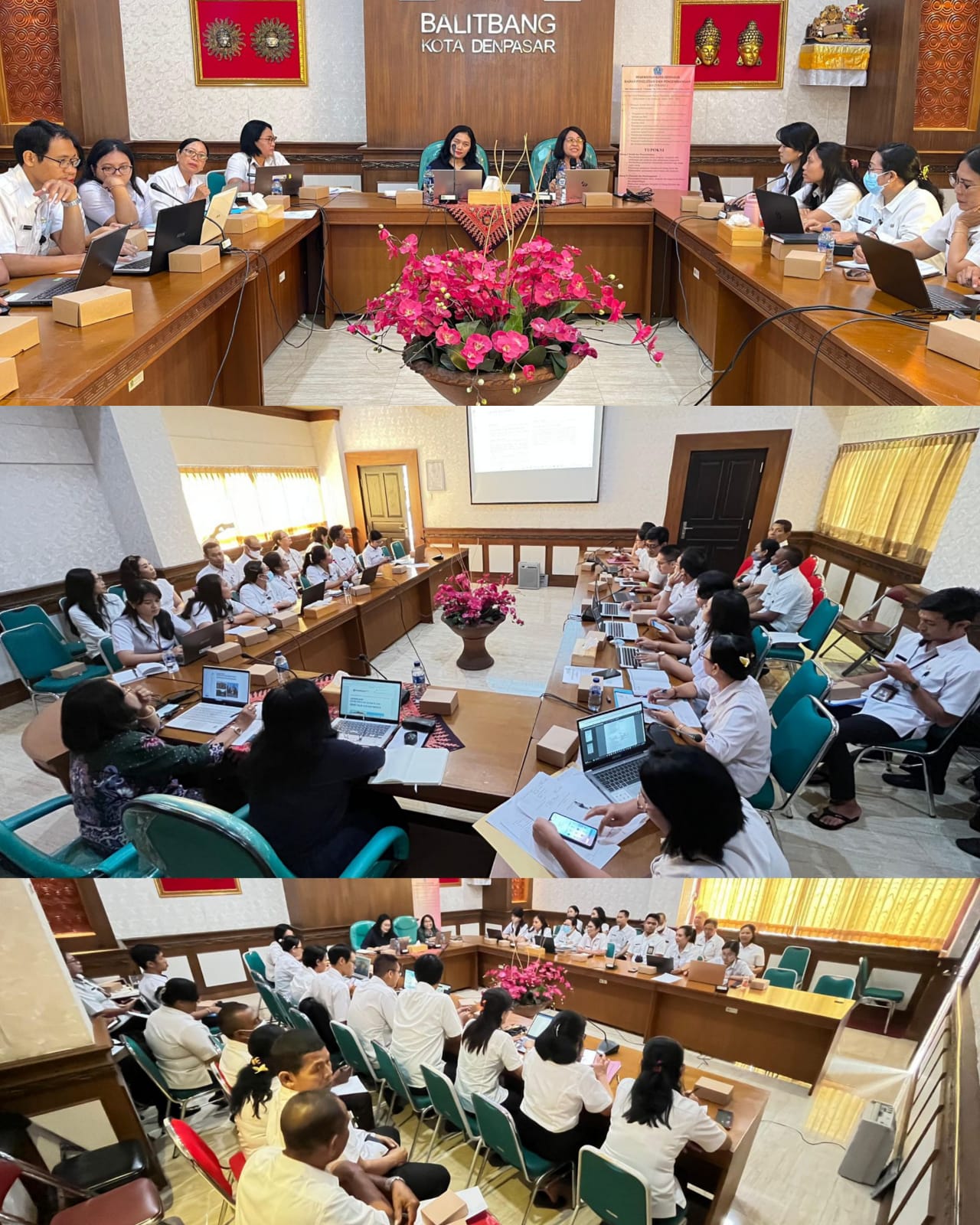 Pelatihan Review dan Penyusunan Jurnal Hasil Kelitbangan Kota Denpasar Hari Ke-3