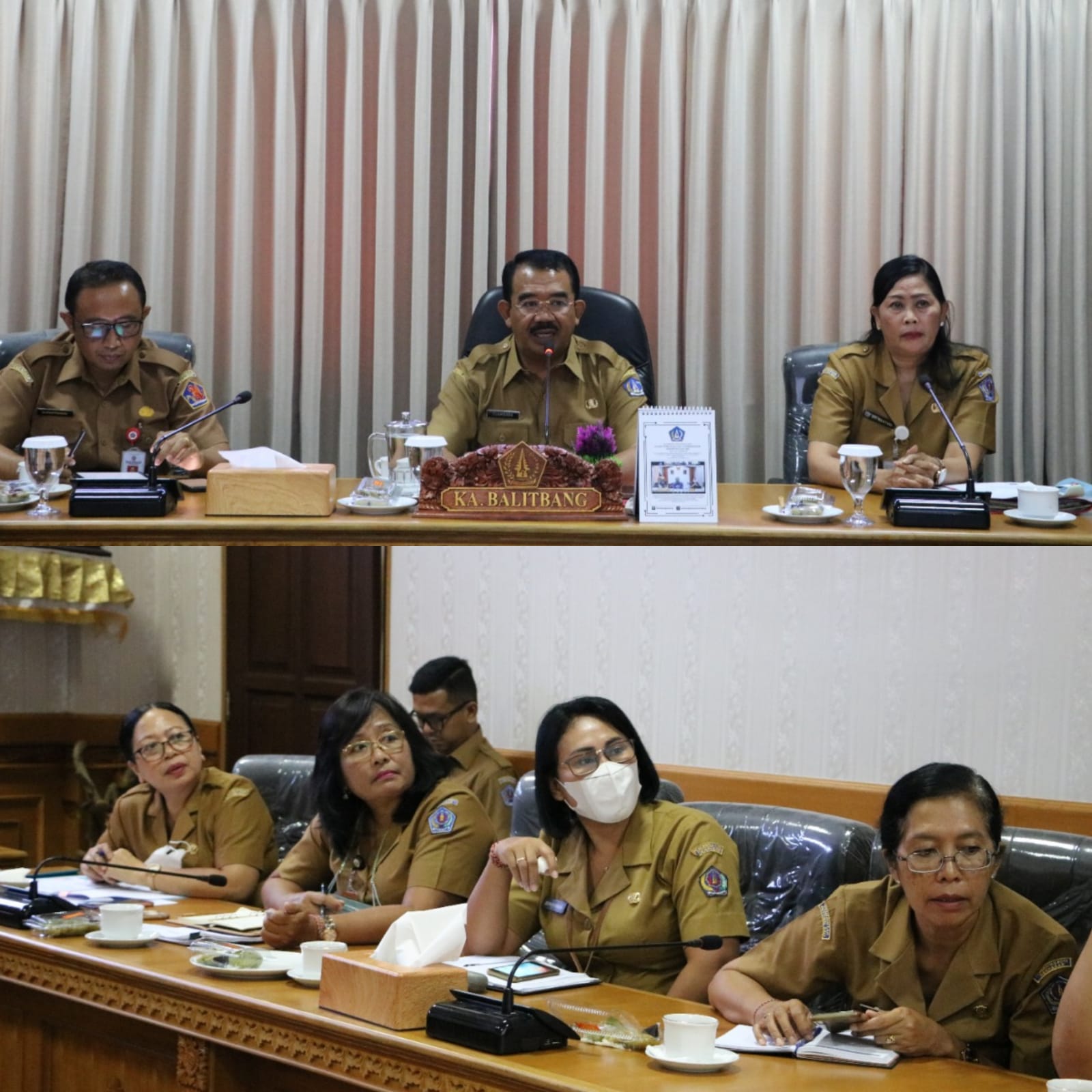 Diskusi Pembentukan BRIDA